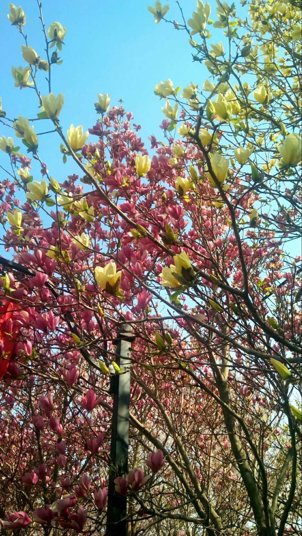 wPpOPoUBL6SW06Tz2hrYZ2Gb3bGMNruM6OTMvmhJXZ27PDjTGNq-y3qaWjNFXqXP