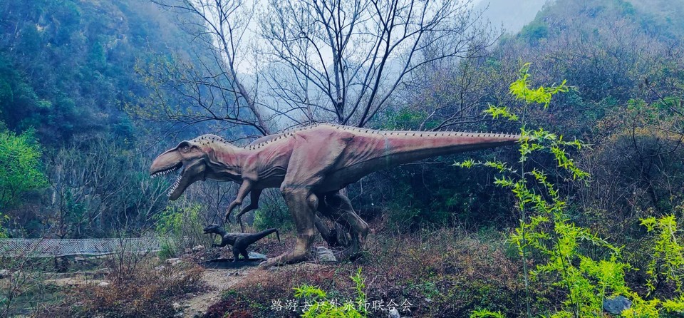 NpWUKW17QkbQcA8rnbPNQMFwTuFV2cUXNW1tRSaPWUABmfk3BESgp6kQmhC41yYG