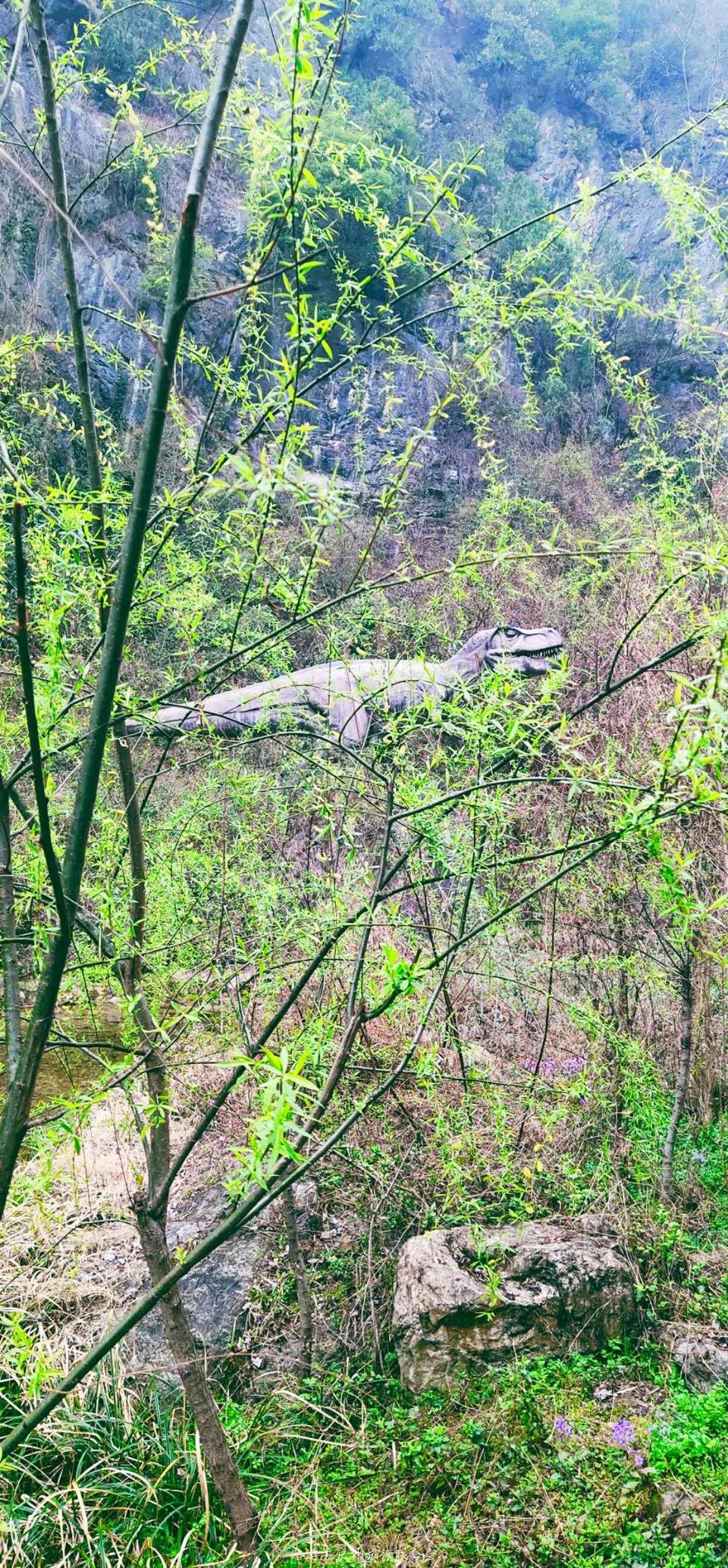 KQ4r864QYL8s6maclUQAQIgIdZA1zsTPpPKA8ZNdXmUI2G9H0K9Ys4EjhlcOdaXP