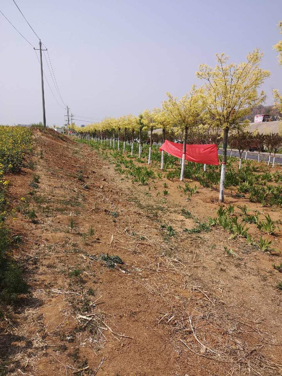 64E-GKQV6c215cpDz_yfJC-PRw3AVYbSW2pUiU9B8-g8fdYcppk69-pTOK0UEQeN