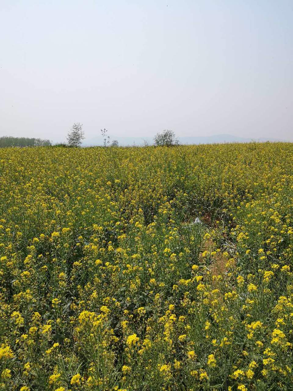 DP_AVsNJLPIpb6siBX-looLx4KUF0-1cY3W1affsiN6KyjJrruawz3LFyz7tm7X7