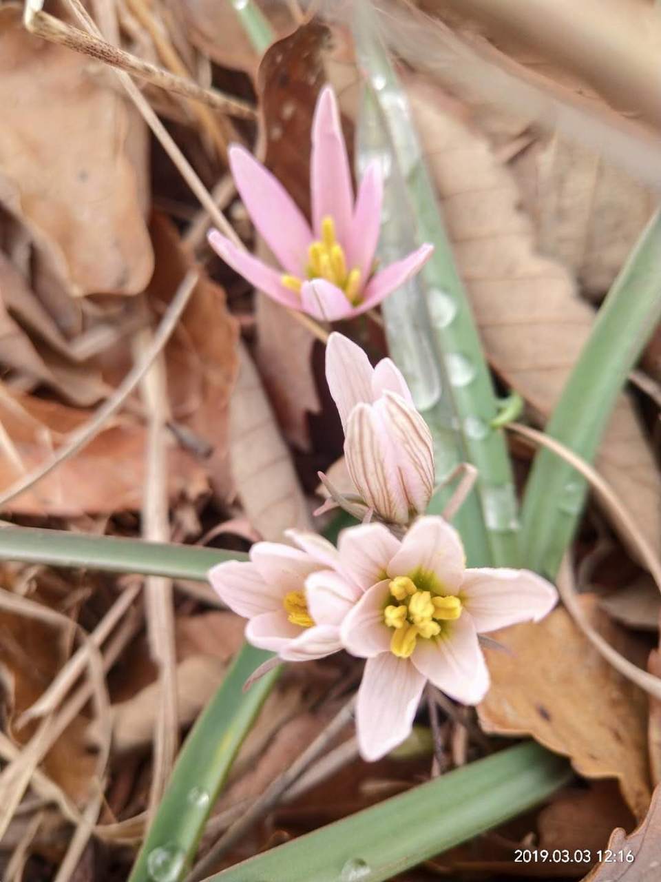 IXs0e0G9ZAreWq-osOmUQtFepf-tDH6Tcxf5yNIIzv5dCxDmYGax1WK1pOJ4y2ZC