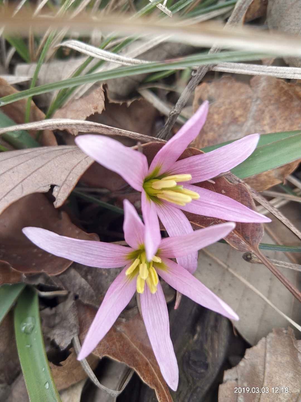 GSFOHkLrjmHGyppCeHyQoEODW6KBDbbnyC0-H2iNmR0IYy-9FSfVlkPnoVLwKglU