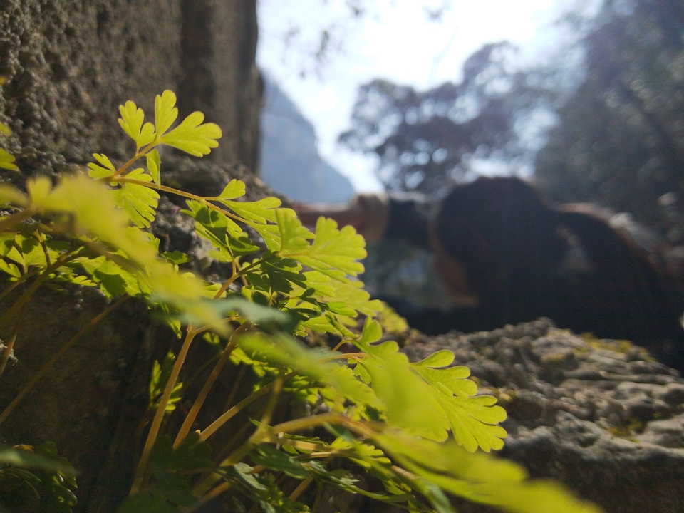 _-reXfQKN5OtagBAj8KvoVWRcInkcXJor2_yvwY4A5vjr0msDe4zmOK4itrztUvp