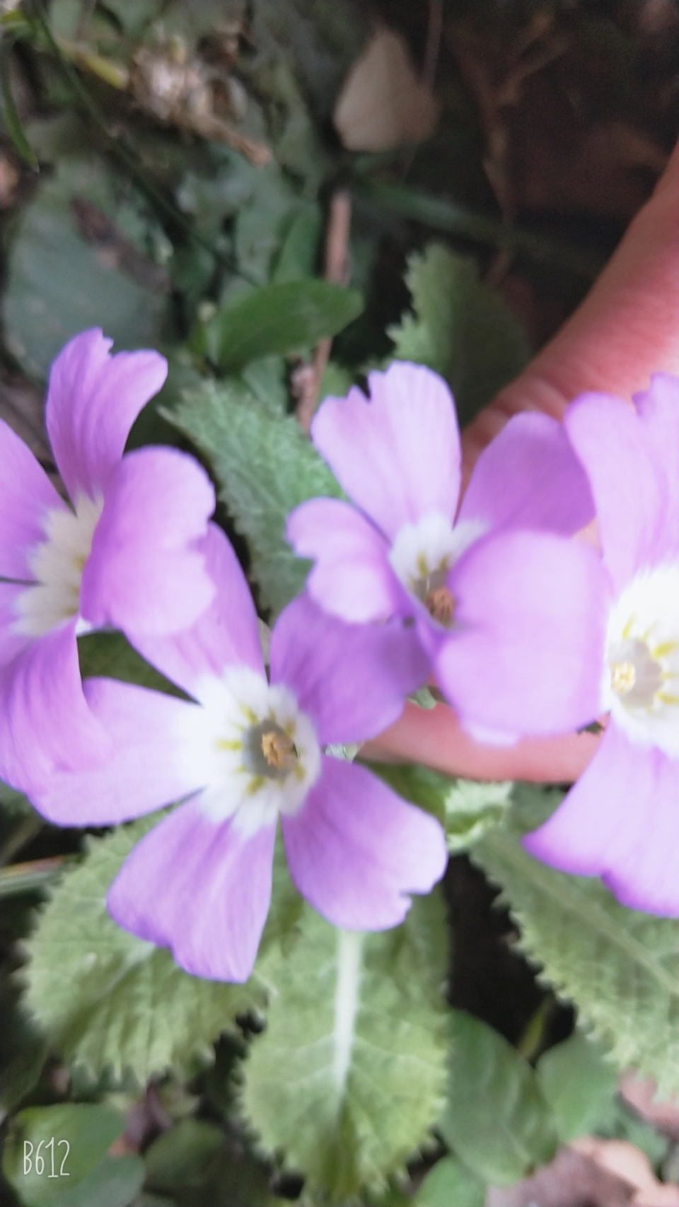 u0H2EsL9i_SBeZT61VXPqsELBaxPFK8e9angFxX6nqn_yRR9dkk3EI11lpKRmrZ1