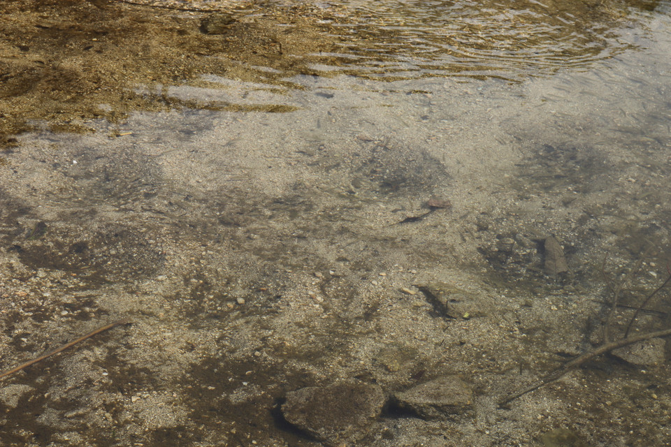 bXksuhKpoLREm4PMyrQo3XrR-gm0M3y1DL2YFBAzjgftxbieg-WAFTinmf5tCpZC