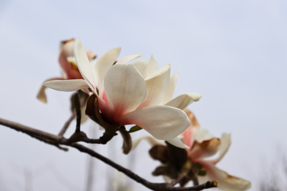 AP9SxGb0KPJwm67T11zzQ-HtbFviMVdCJvRlG_DvHhETAdWxo1caxNzqeI_zCo3x