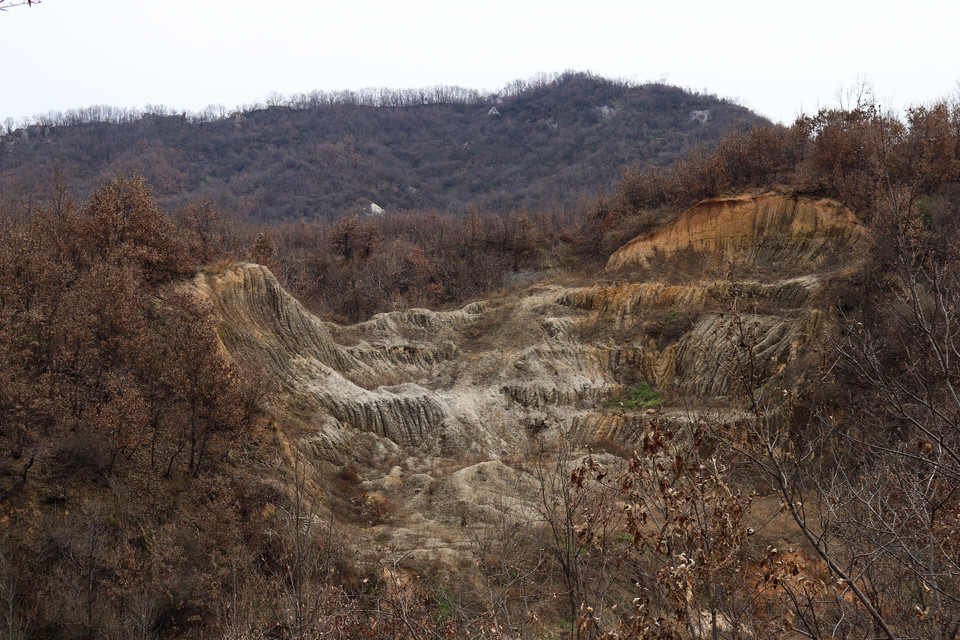 x0Heus17J-GPprHm50-6qiU8DvDbjbTtMAW7cRXOlkZ6PPhv9ugJRhjYvl_CltnT