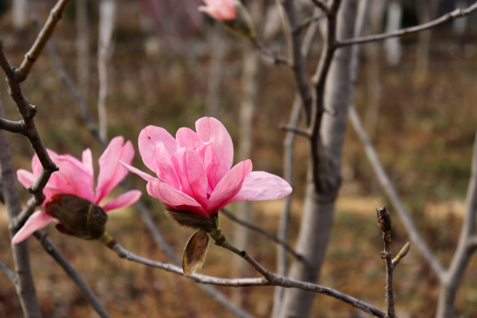 l8LcVulQNvE3Z-ZQvkVfFBFbpl7KrqgfnJzdKfo4_GA-1p_YzyTGJrNWgsUlHwyJ