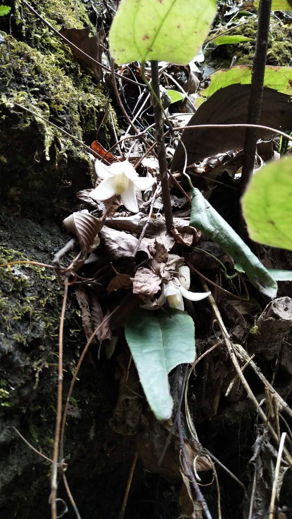 RkyHuALZtBqrBJYwlY5irLrLf1Ck5GtG6rj8ielvzk5k2mVN1_sf1kmnlx9-JdQM