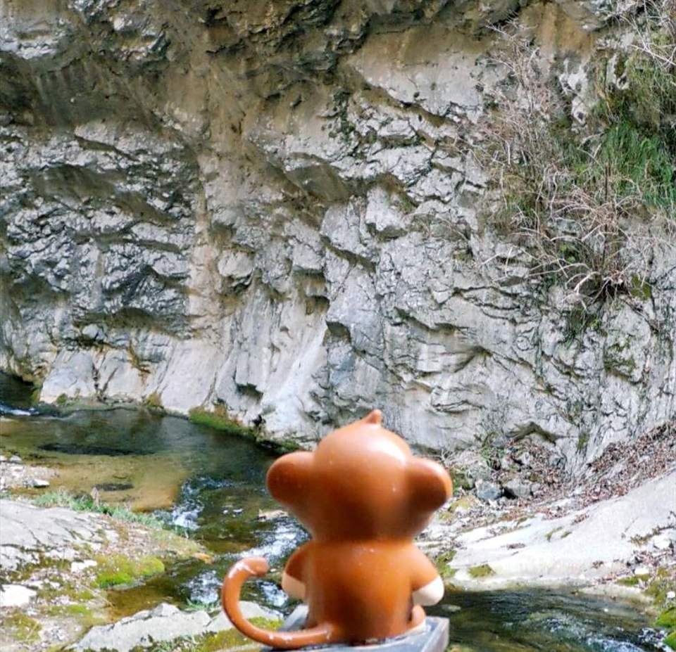 PIsaTtOvHun5_bUyi5FMJtBT6BMavhhI63cEyvT-_KC3Dn4w_sV_Kiw-Ohy4hs06