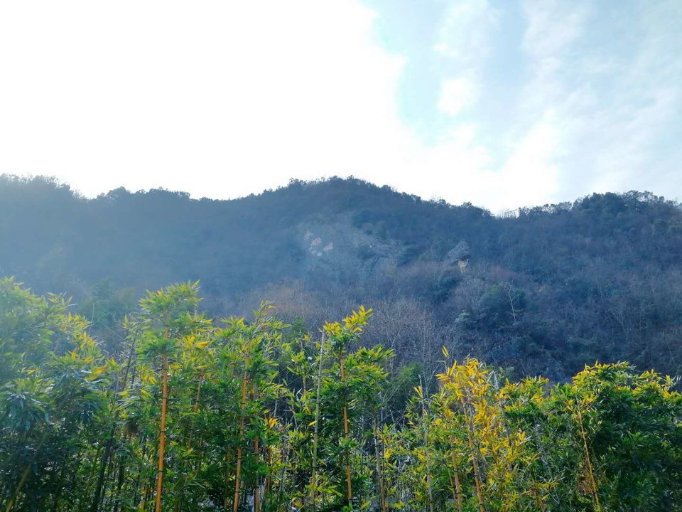 daRKDGIMmm_c32W67Esnm7kyF4wZvlPsT7y2KBLnL9LCqhKEwvpyXbFWd5HcGDQ6