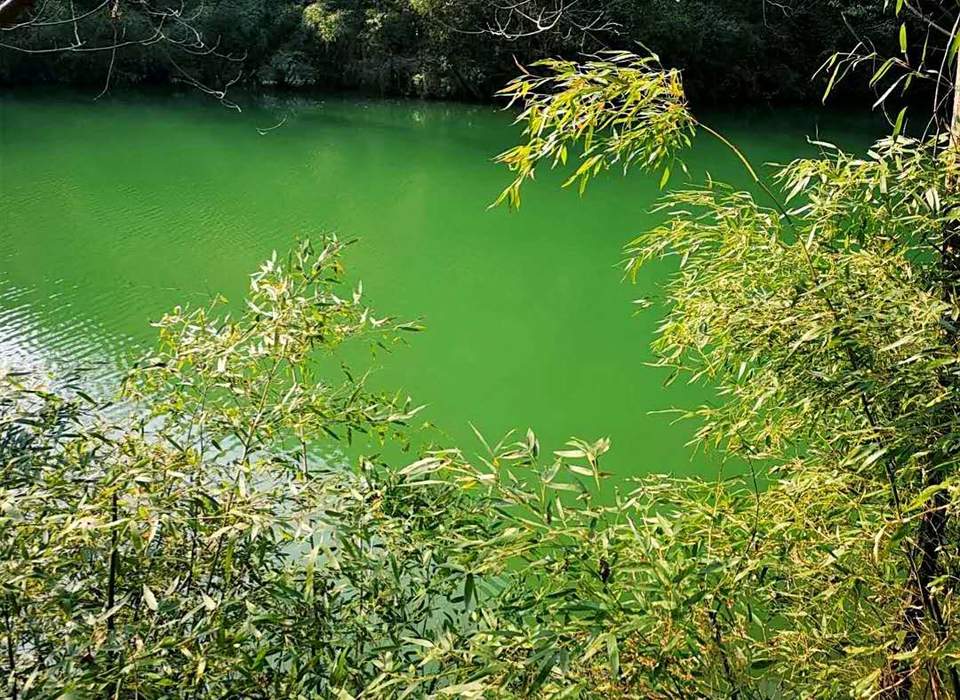 2IVokvG3sIxTIW-WVyTnWnQrbHVyk44IKLdyJapeDZM3aQcjHiHZ1DNcdw_QSeX1