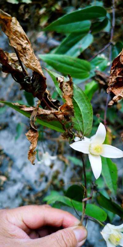 DLkr9zKUmcL_RmXU6CJ35rLxoZJrgLcCQPhcw8imQiLEpNwz-lbZwO3AMjW95Fol