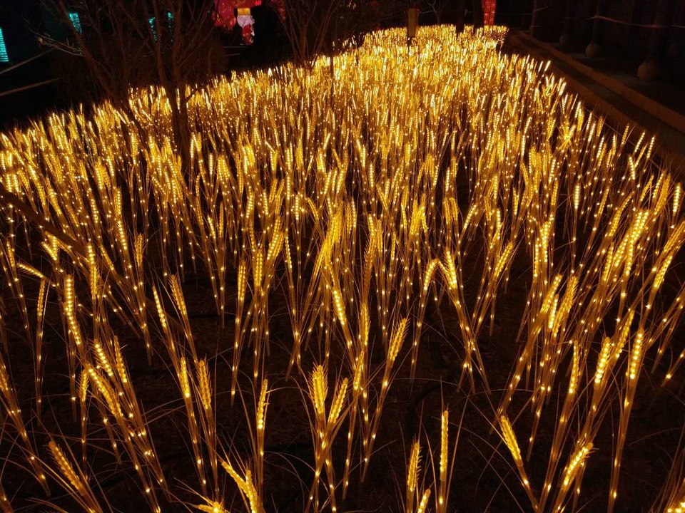 RkyHuALZtBqrBJYwlY5irIriqO1DxdqinL2l-LoX2ieYeskpRONvgUQ-boilOo-d