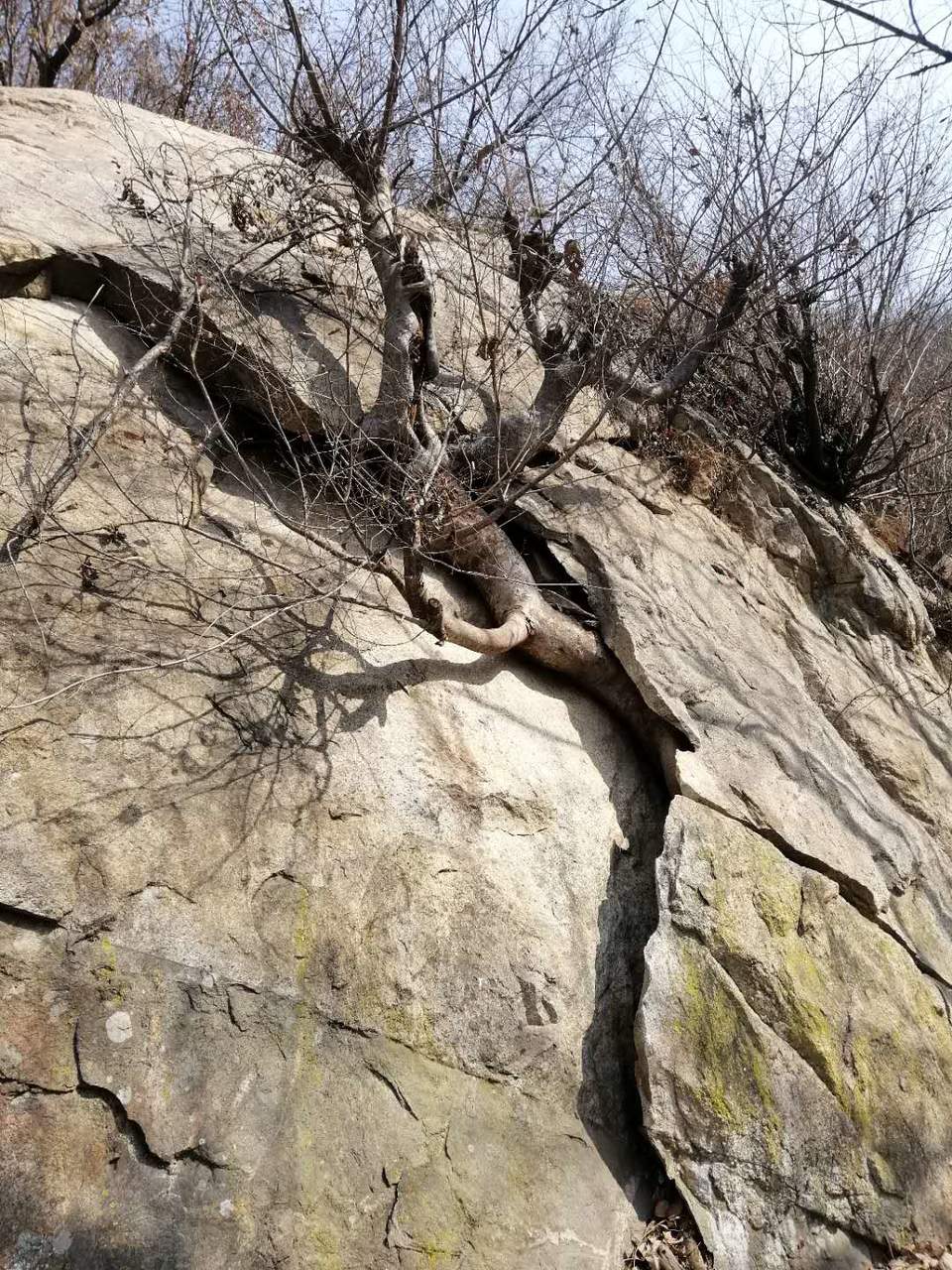 z6GkSqWlGjVlvZgpC6uHZrf5RHNdaiBJVeVdpfjrwGA8WHEsMOfsnpJ55T_GTrdE