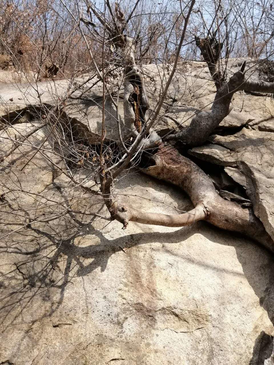 sBwXdCodXtjElEWwgH69DcC6Yffuz0tJms53BzuYdc3lmtmaaYsjcvxTCcQZB6ri