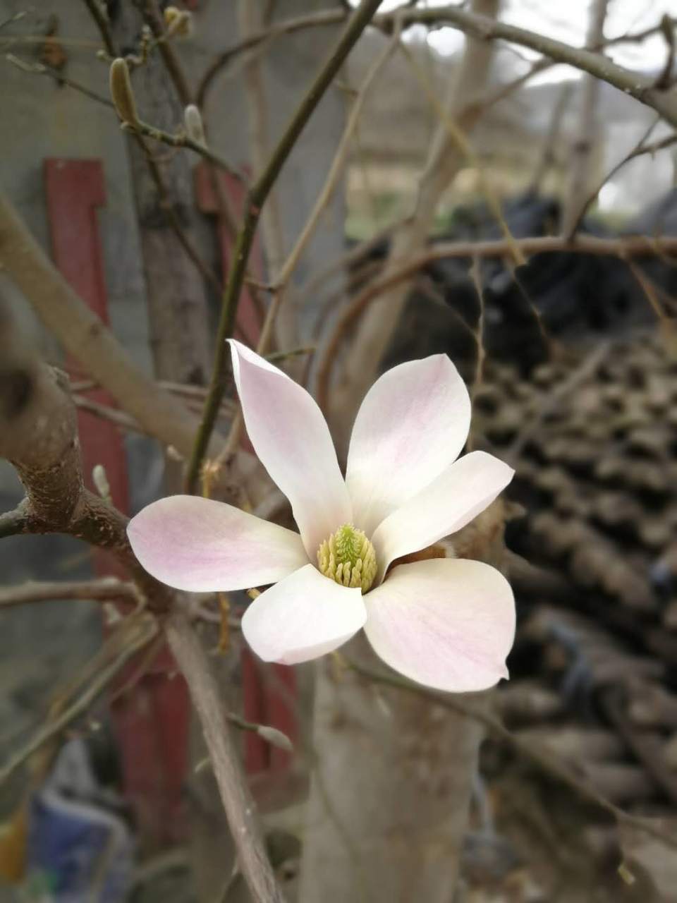 0AghF2GXlj5jgHMNNUVp02utjwSokTA5beDlOELqae9kt58Fl8M5Uy-2DegL2EeS