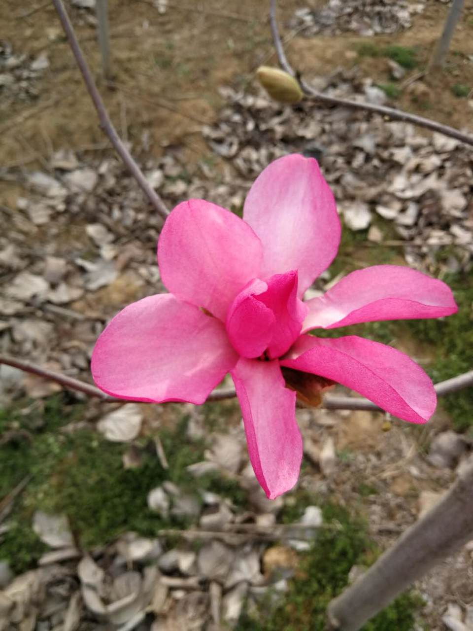 rn38nCnxIaOCPi86j5wxV3GZCjr2AIEWKDn34miX-Lbwpyu028ZB1WKDnmcWmtDr