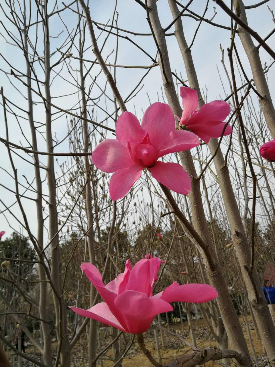 FSpxwug8e3Cxekusgo3DEIKRh2hmFAaEPqYlfEVZC6tU4qw9Xoanvz5luZnJsUsp