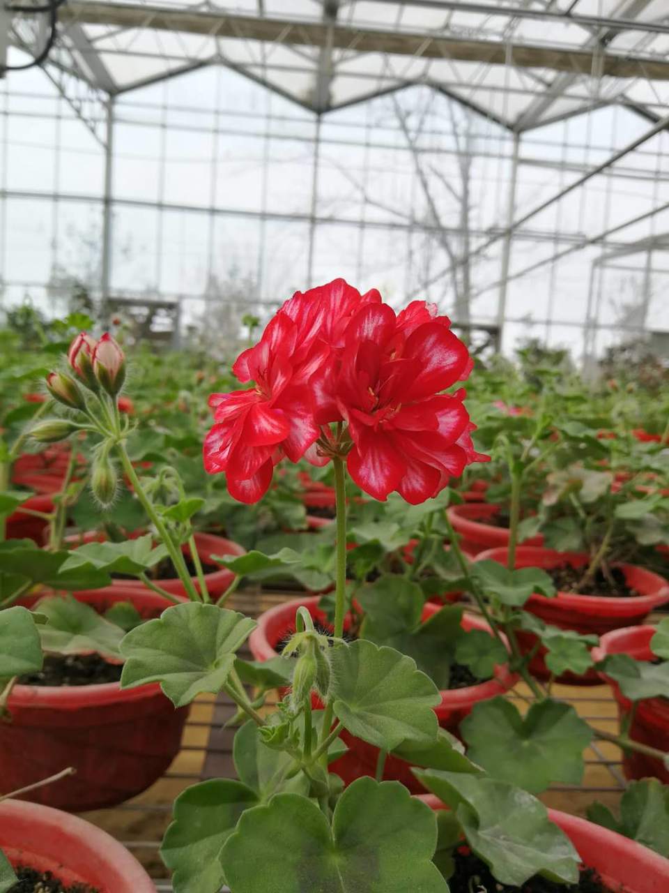 _2SjqxrVRQosjABCa9tlnq4VGMzUhzEjbumeB1XcPcnIbrO1YNW99-o2VYx7H7HQ