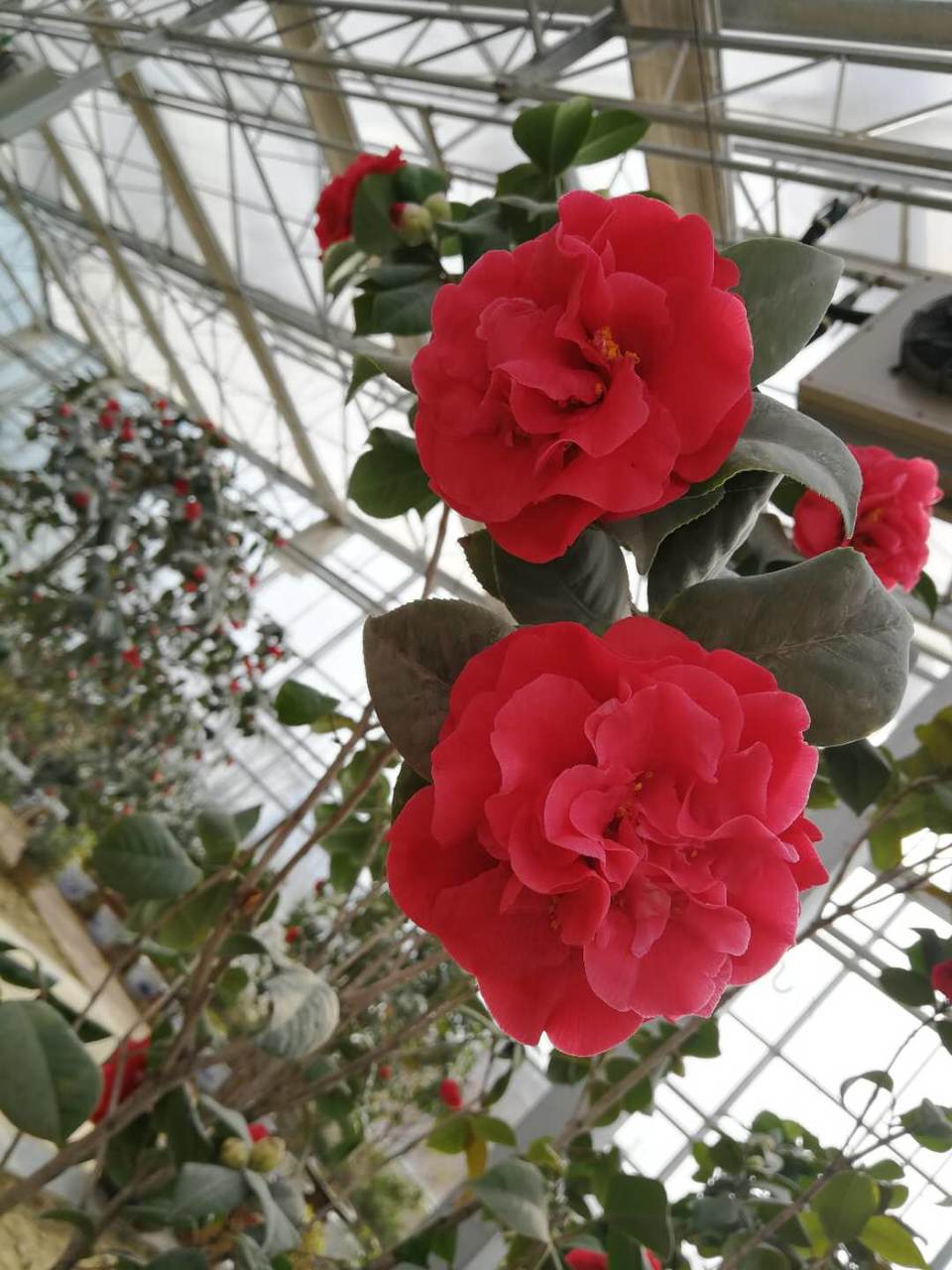 XSNDs_Jj7IqQ3HxMFsi3wK9i_T_u4on3aaq95cnBAwy80zi_OI75LoWqdOORl8qn