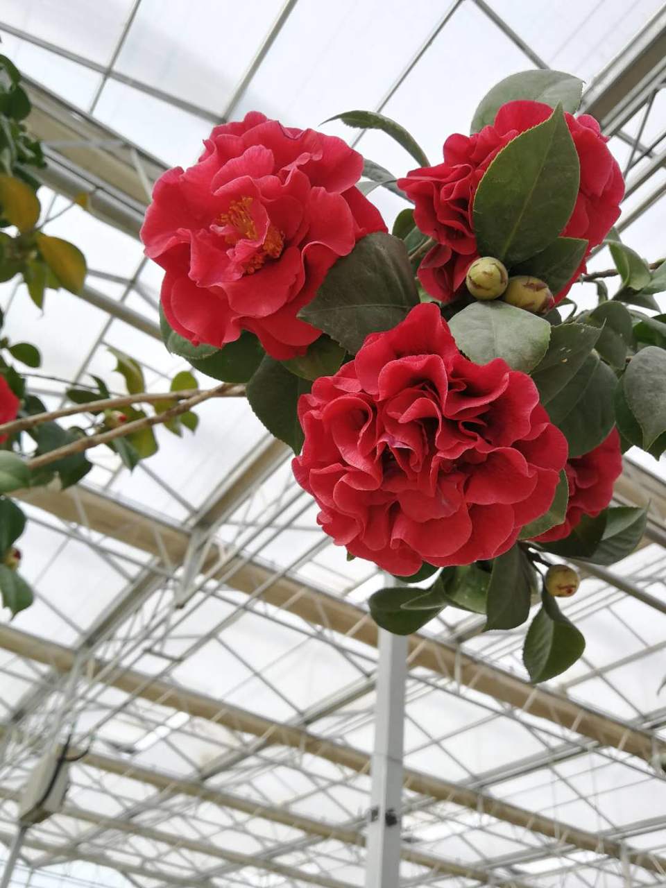 8ZQnHckIOVPfHlJnr_-jJVoo6npK22d_gM-ApP0FHPW-wheVm9b0dNItdM5At6Kg