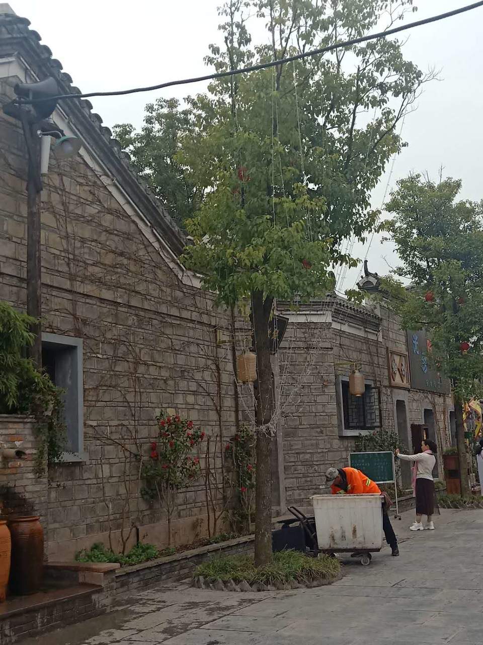 SRfyv9XoiVfsT2y236EerwACq7mutn9v2TxIB-B0cGL6qhUOfg8-1X8Zz2Uk5jAW