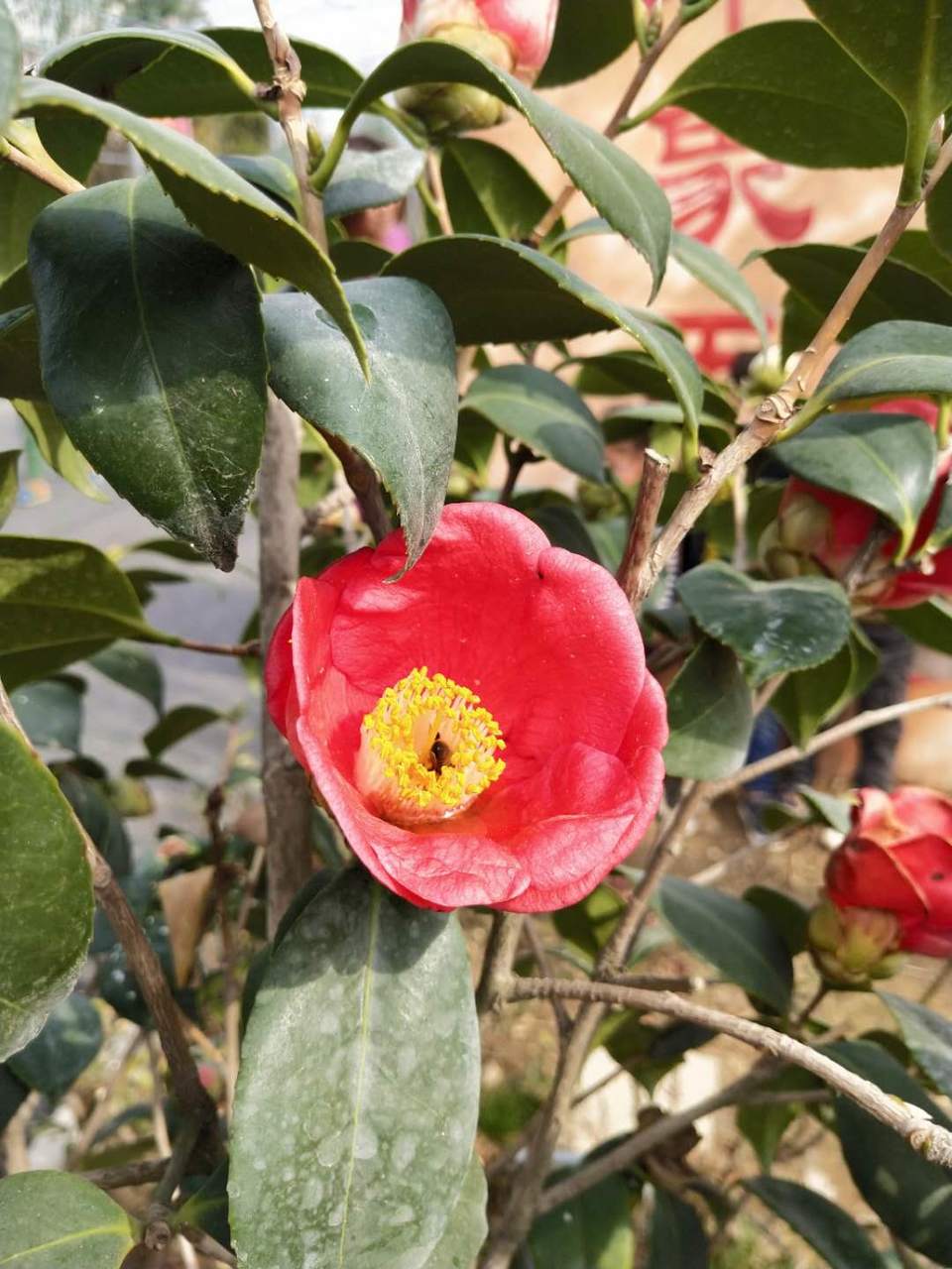 FglqOz6C_ki7ex1PjAouVZsSR_II3roZfzztA6VIw_MMwf6ifUrVRaTqJrd2Gz68