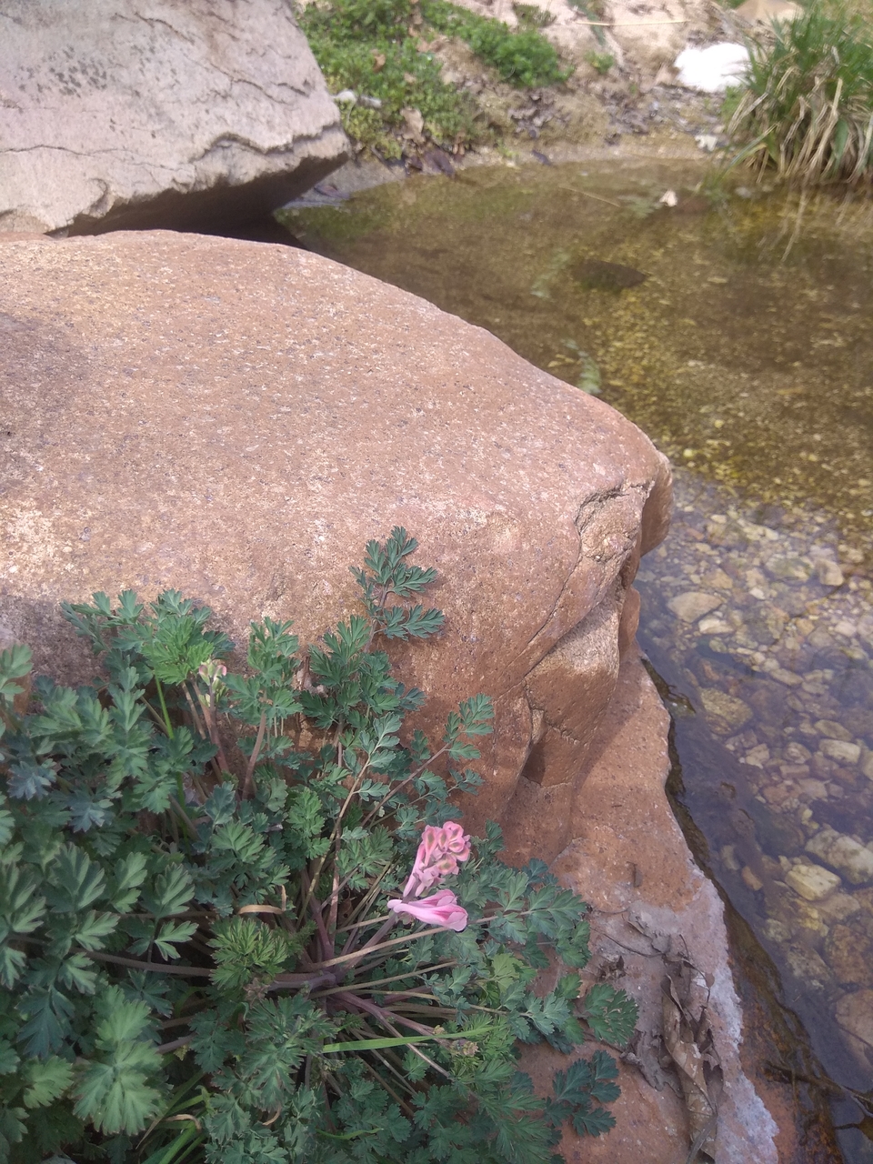 rfYS_Td28zm1duVuPfRM2gqECwK8nQ3VpvViKSmkrQtw84sqMCNoEr4zf2opQDPU