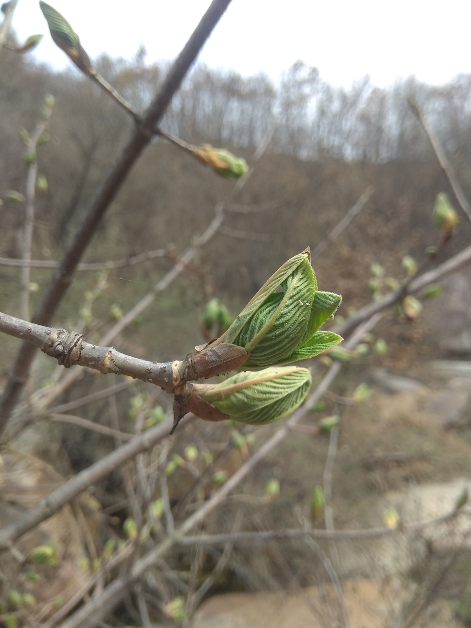 ggjnNgh8v1XzCyPY0IMqdMu6kg1H3_-0r8i4eE9Sh_YRY7b-6IMVy3Pa62BDKdJ-