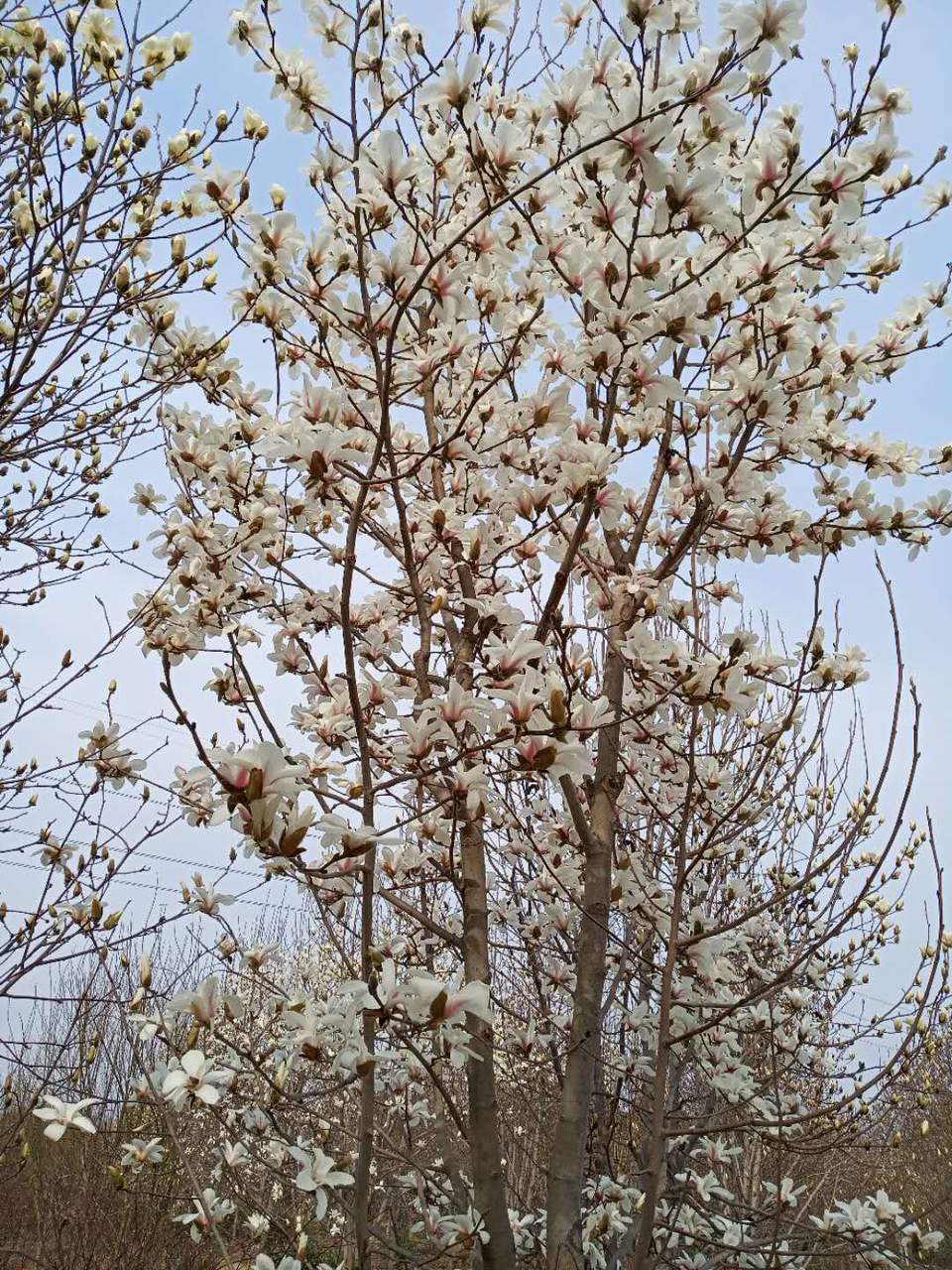 B6E8KoNUuR4zx6gL5aOyuoP_kbSSs62iux4MHFqmrs8QOLqM1w8lq_4Nr4pP_rba