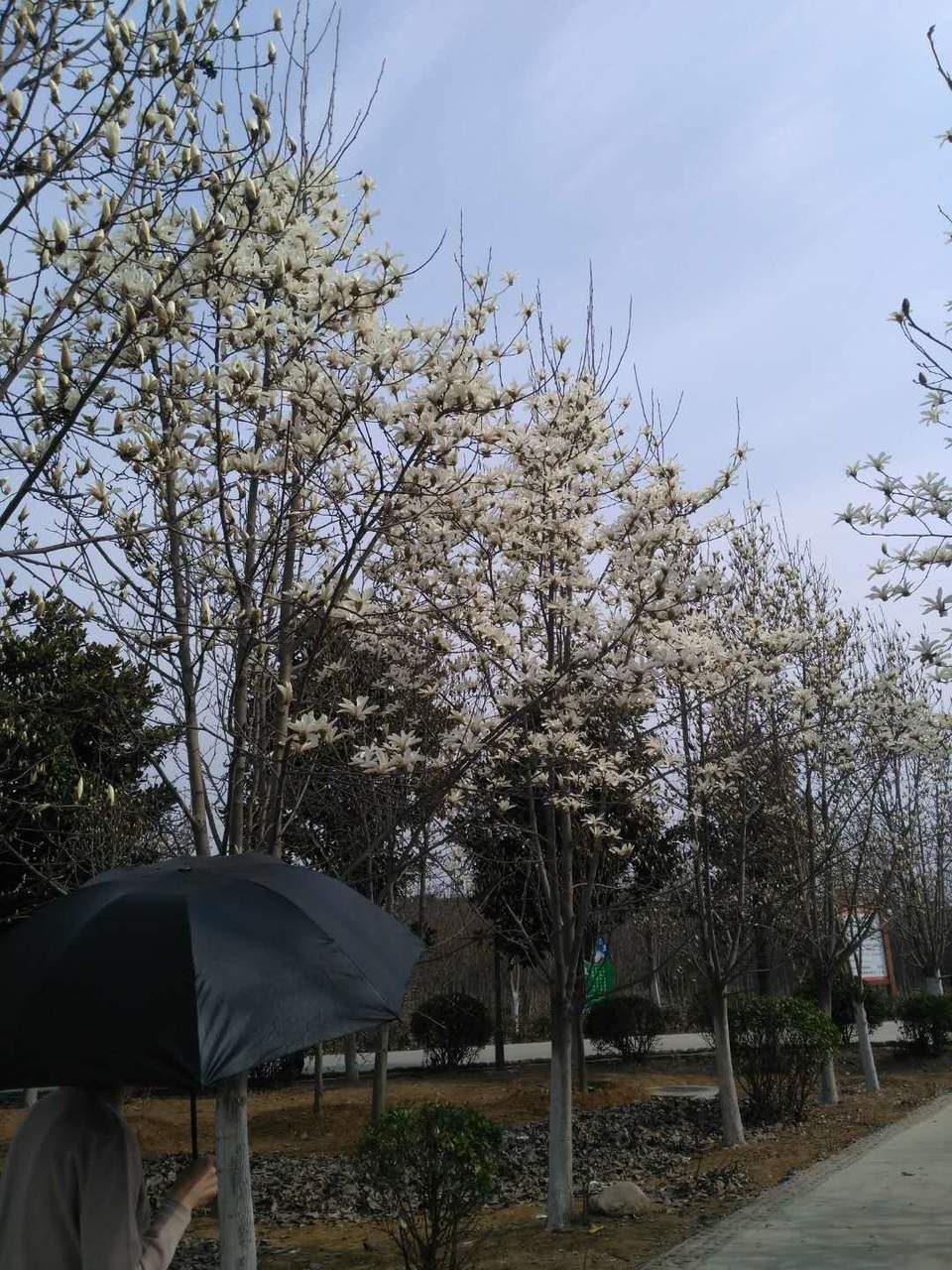 u3jLQ75tWnrjzr6UYbbpnFJFXS7-ZiNZeL7Q5XCfS-fwpA4paobEBt2IfKV1QxHS