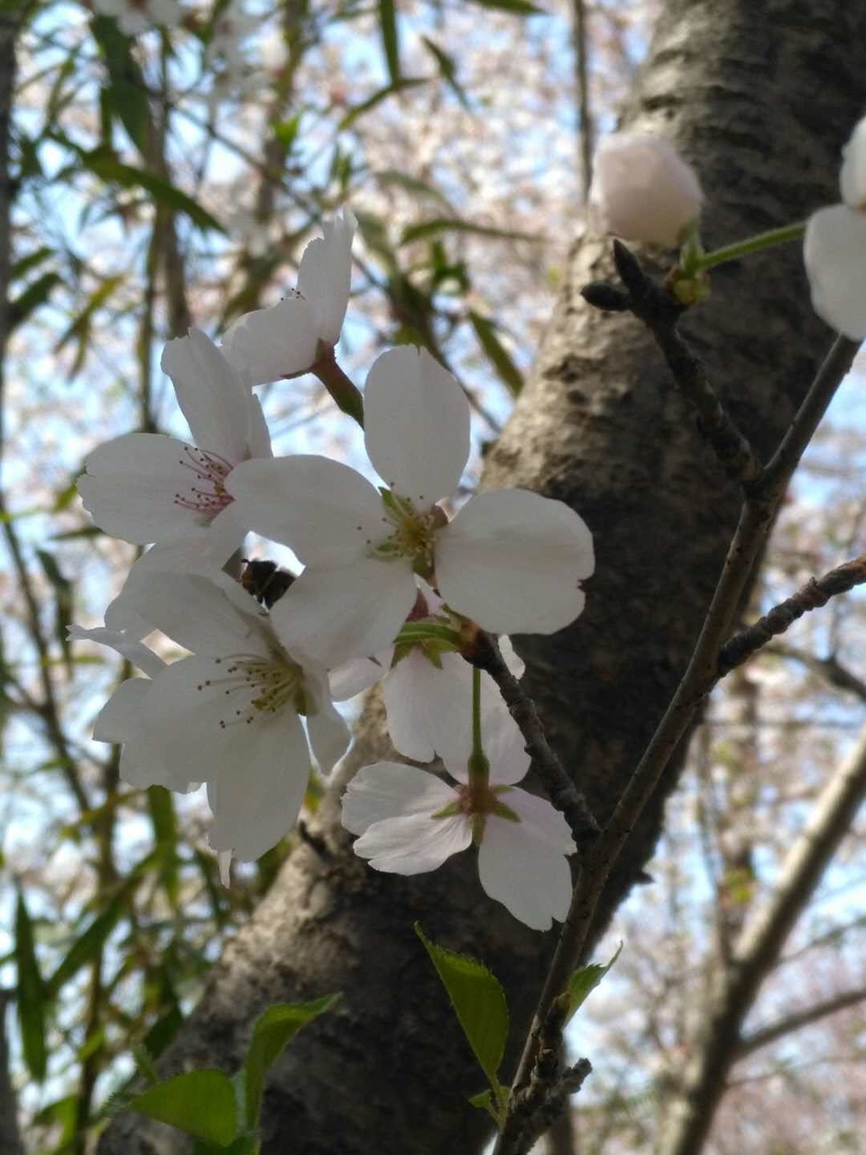 _RmC4Sao1E7WFh_MoZ93xKE5C-Eq_gjP-tLq2AZY-147yY9_T5bnejC9kuQDfXlC