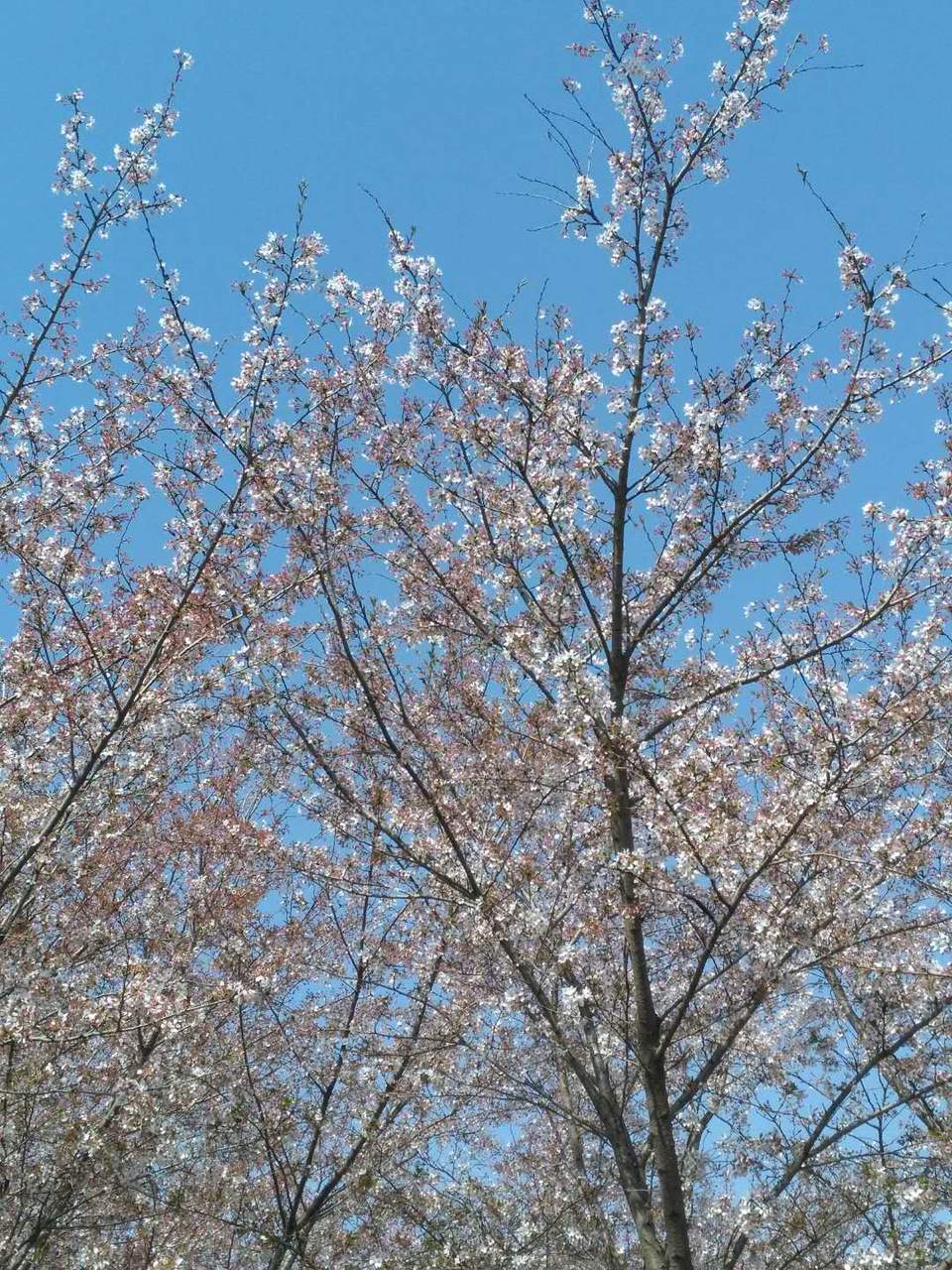 wvF5Qs7AKjIhqIsVA_9LYPe0ijidcMCLnOpsiFcDVNayMAjwrekYD8dQpsakS3g1