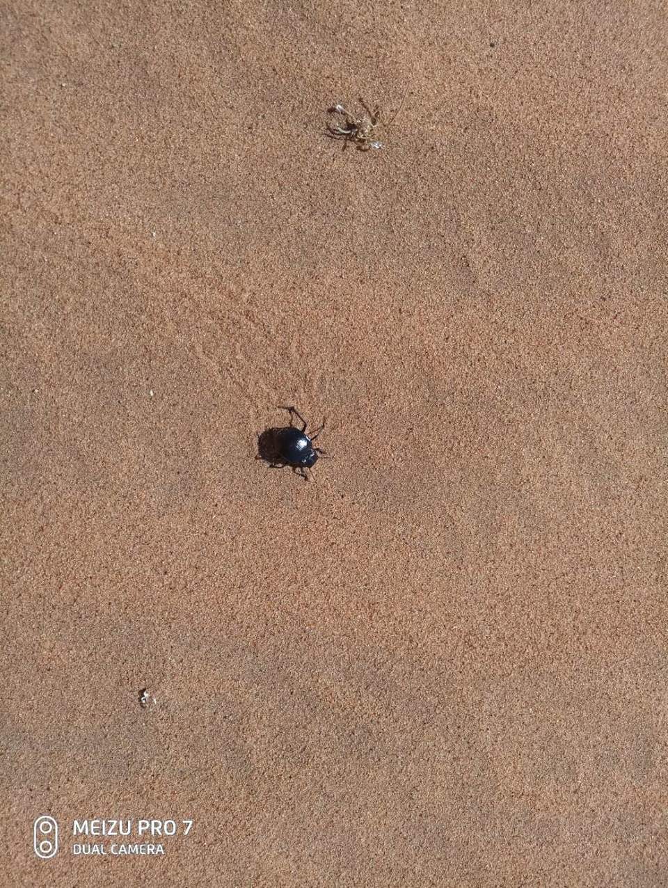 RiVciS9WTeNgTxEx9tUPqZm1z35caqFqz1tgcWCFRlakRmBrdYSpHr_4b5nRRAPb