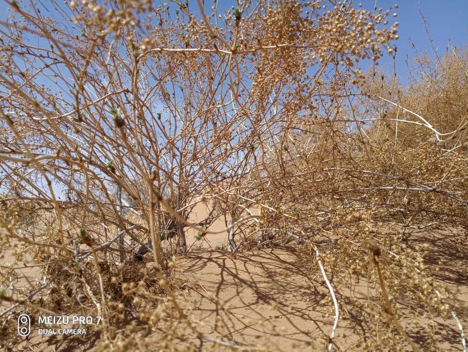 gOHmcq2lneWuPctMKenerd1z0lp5pK65A34vPPTD4Ao5g0v_zSrvNeLFOub3dpbP