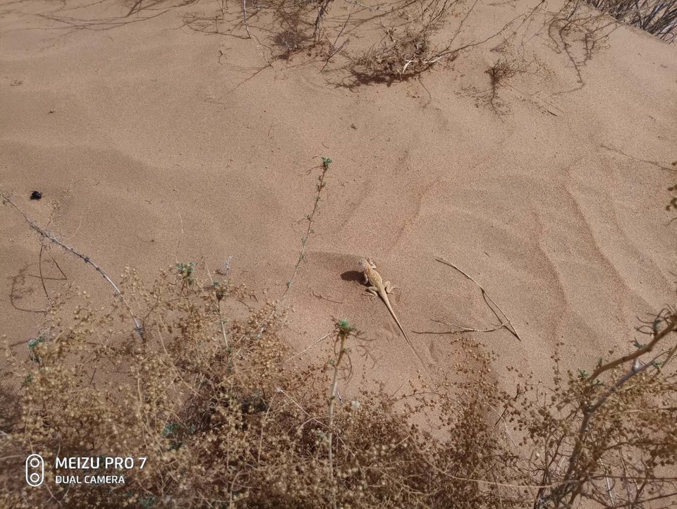 3bEHYrCuQ9xyaHYxk4dbh0pwzqfigWneaaa7_jKWml5iMD_oCQKr7hbJrNLO-CUl