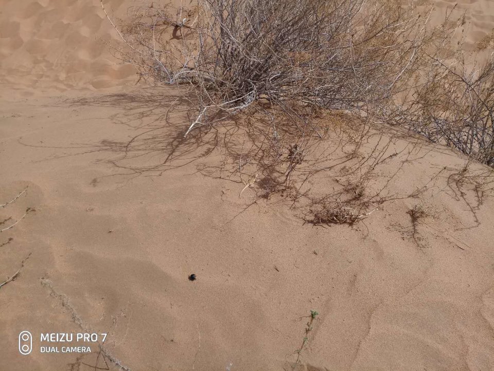 MSjO7vkYIfm0ilhsAZo0e0jVx0fSwcIbsMpFTOCiZ20FT1zBHGujUo1ToqCAN_fl