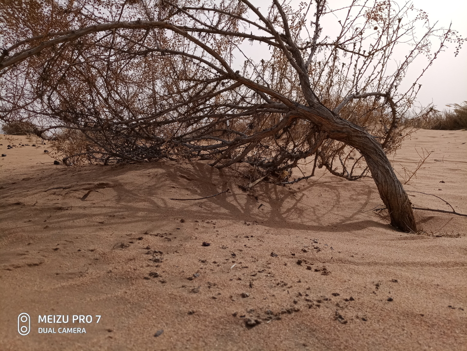 ZyS6vLVDKDaNYlSo0fzkH8qGYx_audclcmGWkpVpDq0yupgmOJZ6BiLb-G6mylb9