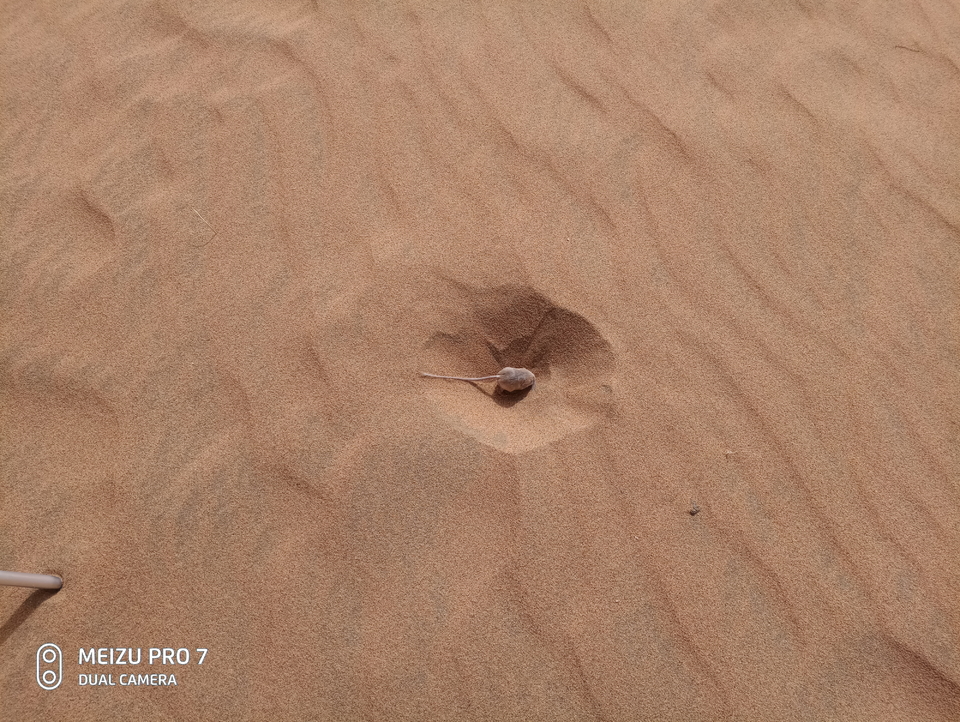 3xLfsVSXLoB_30MBENDkIxA8K7BguscwWYc7KSIkOLO1sJfGBIsxTpf7W3bhGGI-