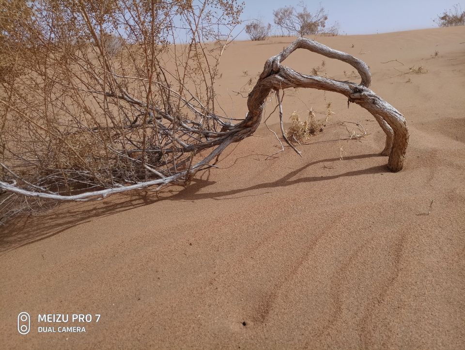 4Gw5coTqB9dr54svuN1QfyB7ZPzpuWKWvshYl3cN0P5-QiTSNHZ7EWqkndAIMWIo