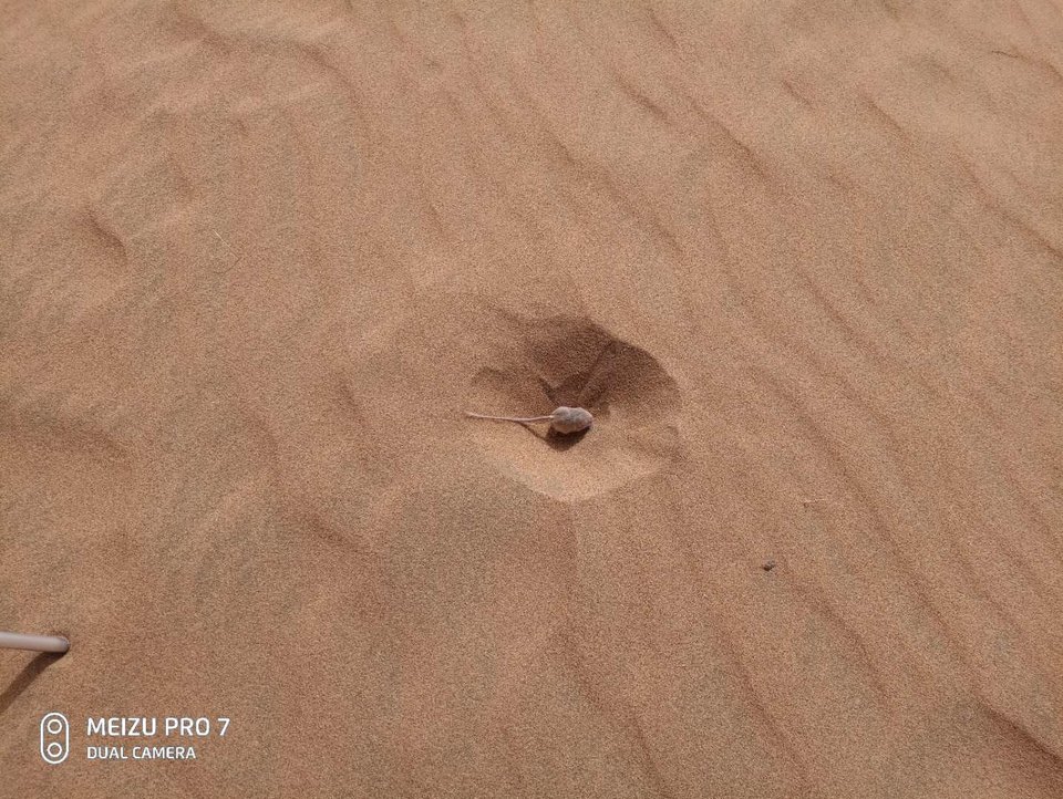 qnXQ9k7lQc8XsKAifs6JwWgmoOKslSH2BoeAOKvHUHuswQP3aC6dBb4cl5s4XPBE