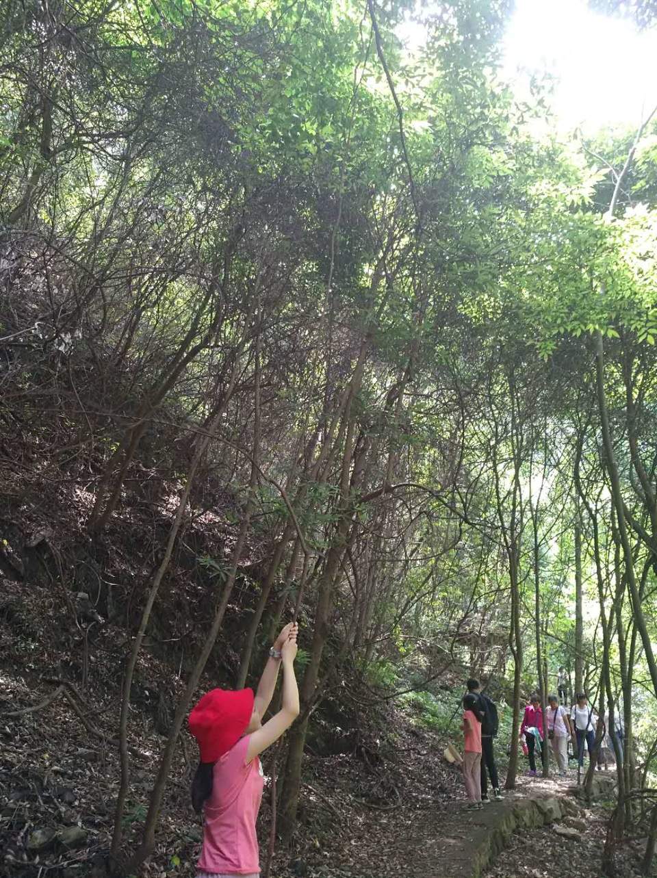 wWGOjHuYTrvuj9tUxWCuQxm4dF16XzIPwKS37bmscZH5IutyoZAnGOxK9DcoSwI4