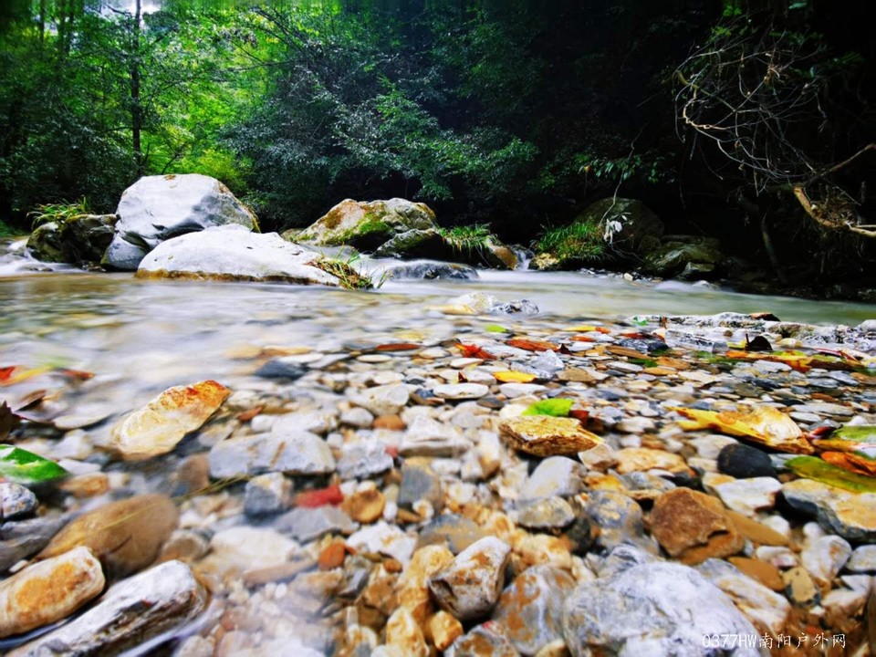 mpZiP-KfVb5RHNCrcHwmFacIbzvYcrmeO8LZEbEyH-h1zq29s7bv_IigiMGB0Wvw