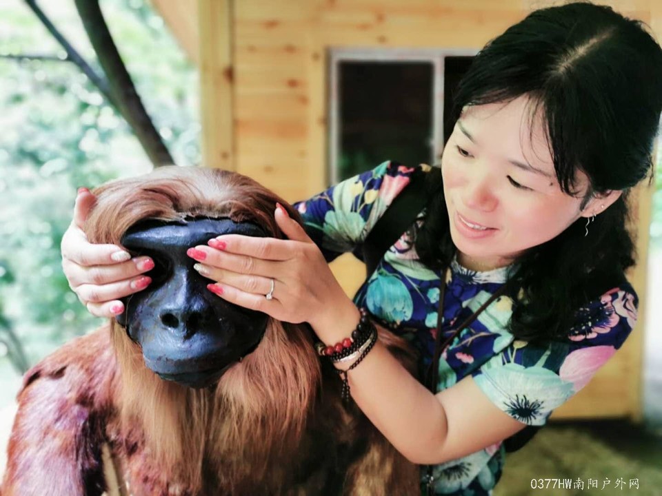 qj1_9golmdNib8a2Fy7BvGusBI6tx7JwM1k5TnMnoHBLBo5ZjfN1RFEVs-xGedOx