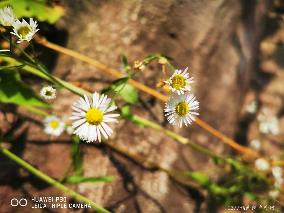 YMTxwLoLpTrrTs5ZUVJ-GA5UolzusVdpocEXBOw_gBIUv-mToGj9uq2ER3jTR-GW