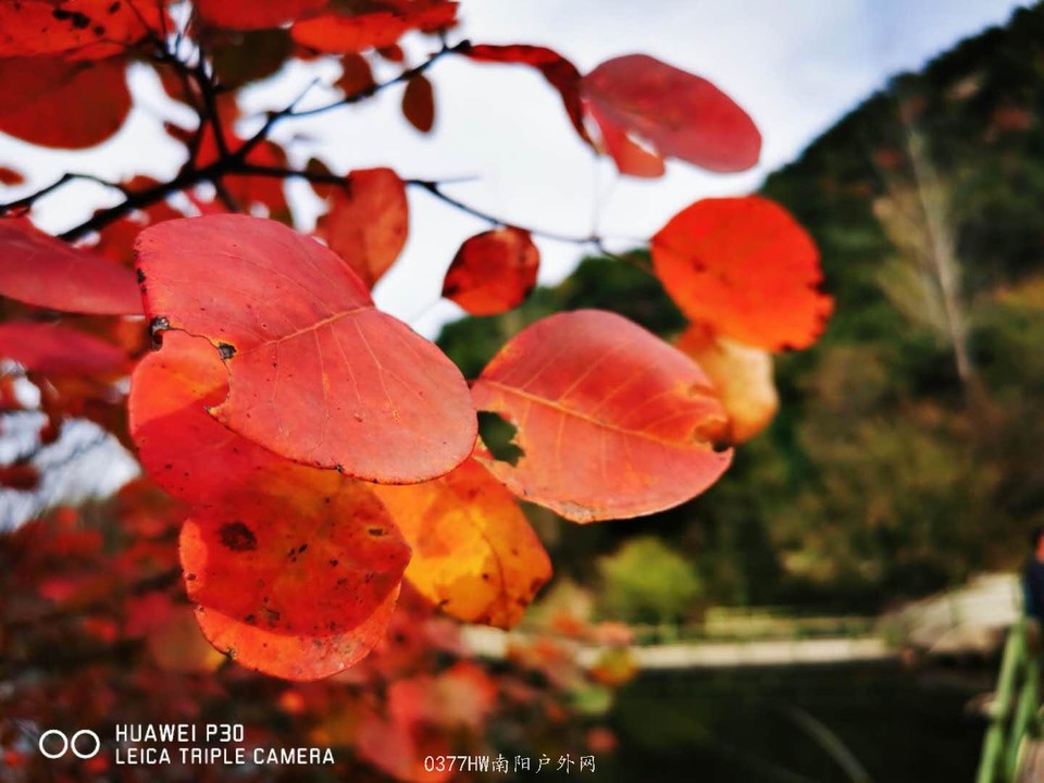 FtqMxqD12bWXoG0-wvICceN6bQ4PJvzZSNmy9YSU-e8HHM1JmVYhlU36g8niAb4P