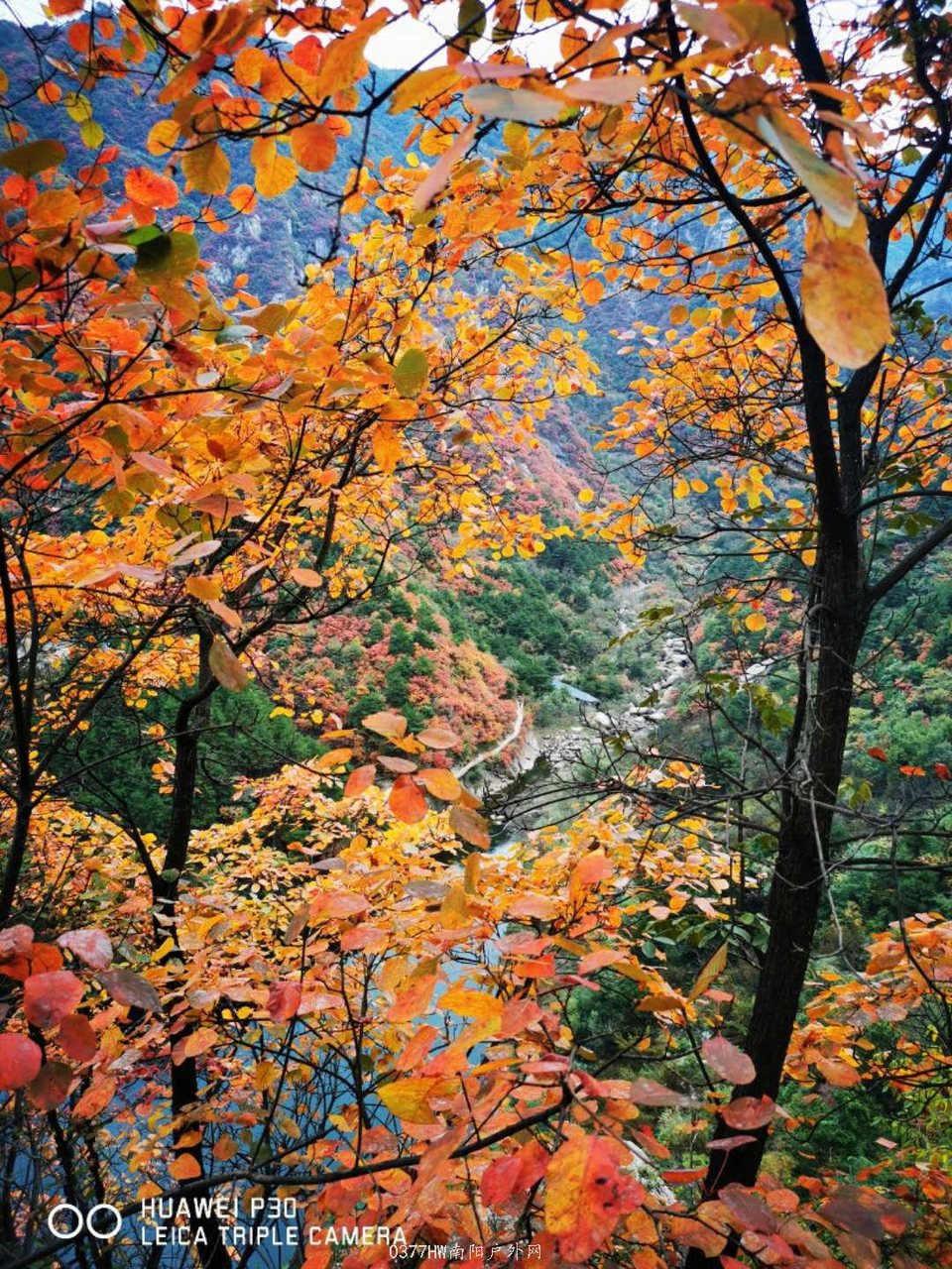 ijThzqDY1ABIcswxnzXRTbDETVTVib2JiH5C3upFfGUMqYFhOyKFp9Rbd_D9rzI6