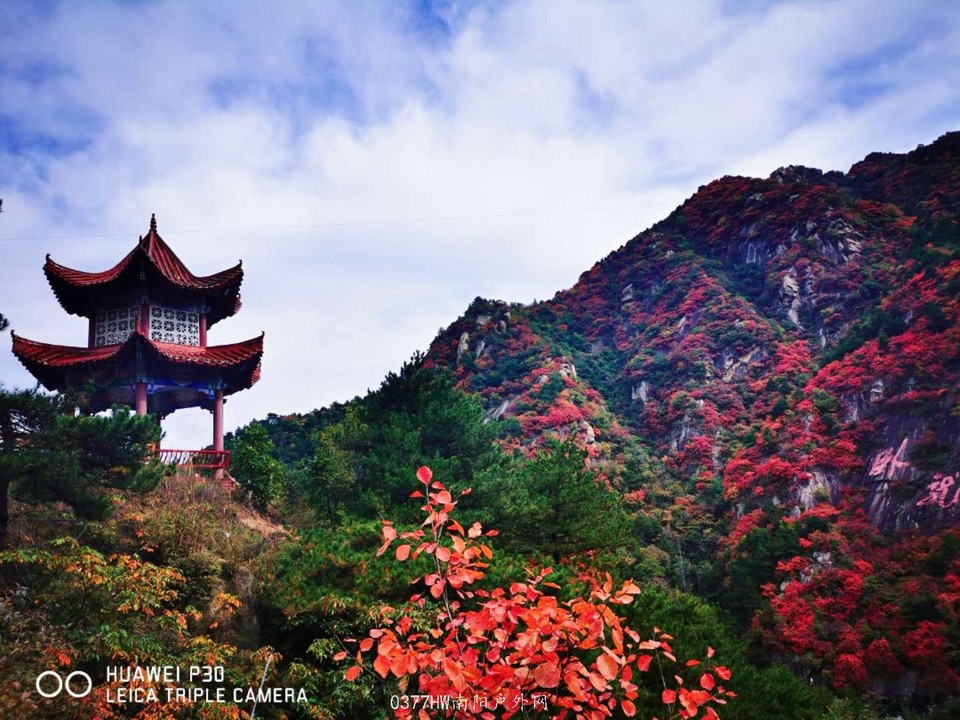 5a3KWCuX-7088qq37LhNSNXRu0HiUdHY15cBKd9hXcDzuve1ryNG6ymLJ9nzKLan